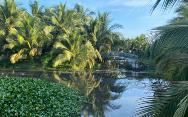 Dừa Tươi Má 6 - 15 Phạm Ngọc Thạch