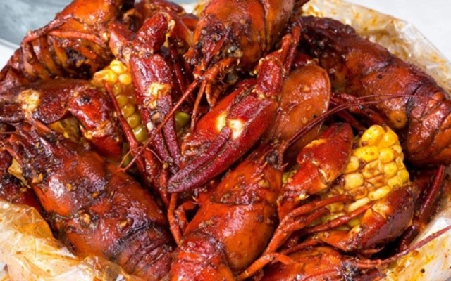 CAJUN 379