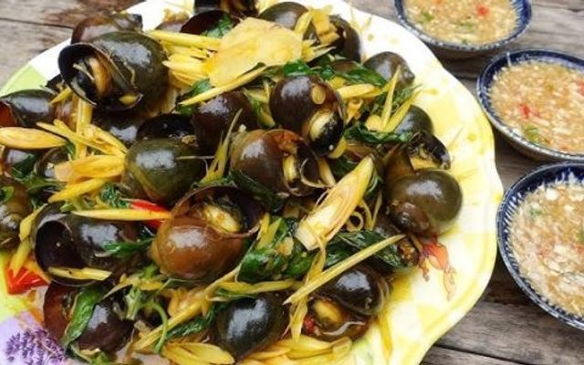 PONY - Matcha & Tea - Nguyễn Khoa Chiêm