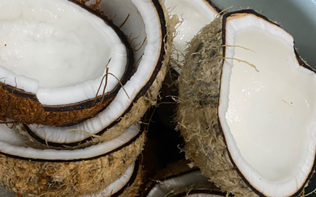 Sữa Dừa Nguyên Vị - Nhà AT