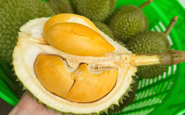 Sầu Riêng Út Huyền - Đồng Khởi