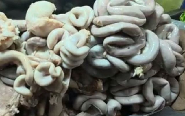 A Danh - Cháo Lòng Má Heo & Bánh Hỏi Heo Quay - Vườn Lài