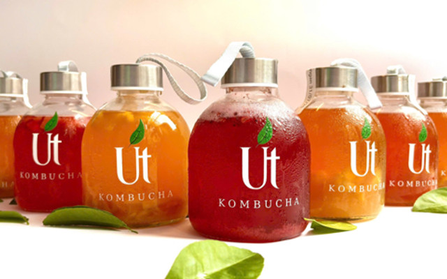 Út KOMBUCHA