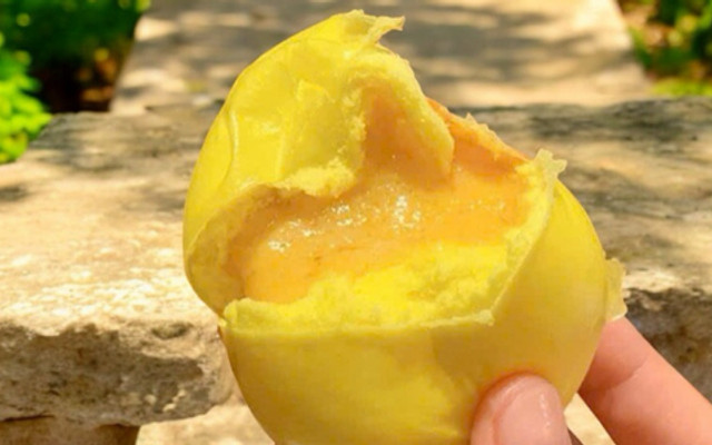 Tiểu Long Bảo Chân Vị - Ẩm Thực Trung Hoa - Đồng Lễ