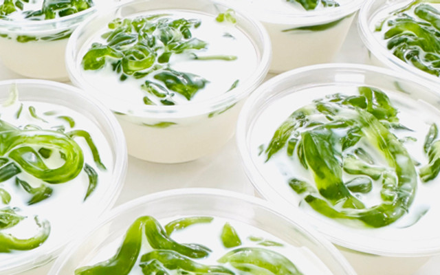 ALO SÂM - Sương Sâm Sương Sáo - 89T Dương Bá Trạc