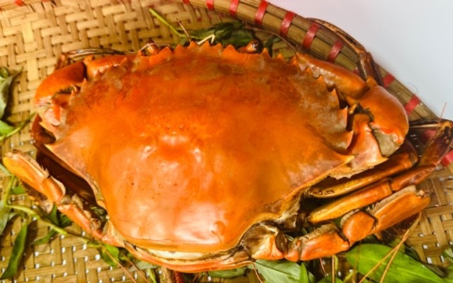 Cua Hoàng Gia - Trần Quốc Toản