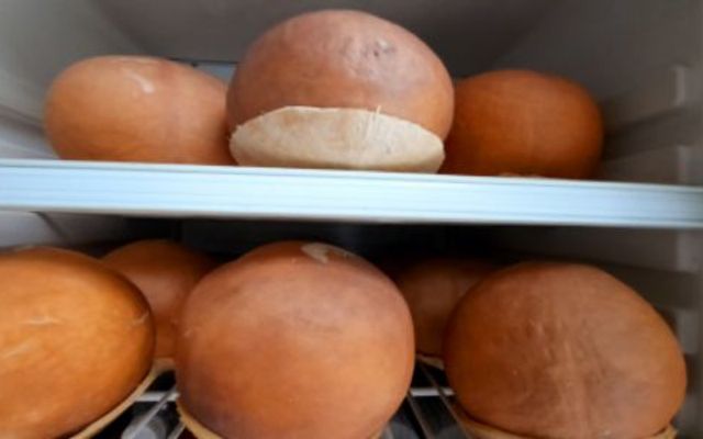 Thanh Thủy - Bánh Flan Dừa