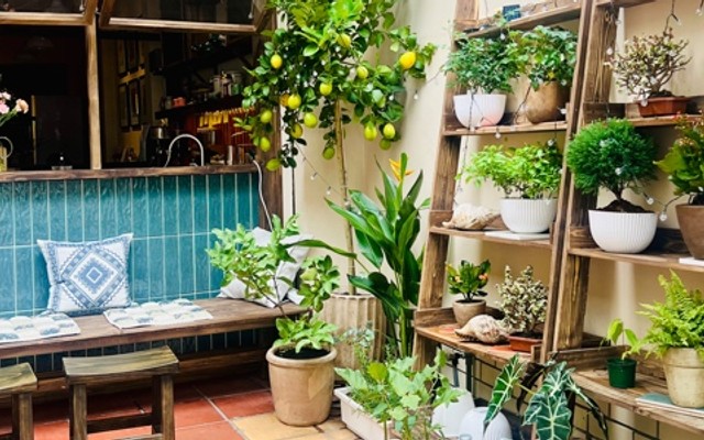 Ỏ Station - Matcha & Cà Phê Tử Tế