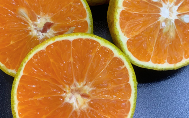 Tiệm Của Cá Lóc - Trà Sữa, Nước Ép & Trà Hoa Quả - 133 Ngõ Văn Chương