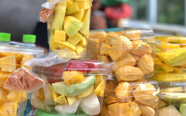 Cây Bồ Đề - Trái Cây Dầm - Mạc Đĩnh Chi