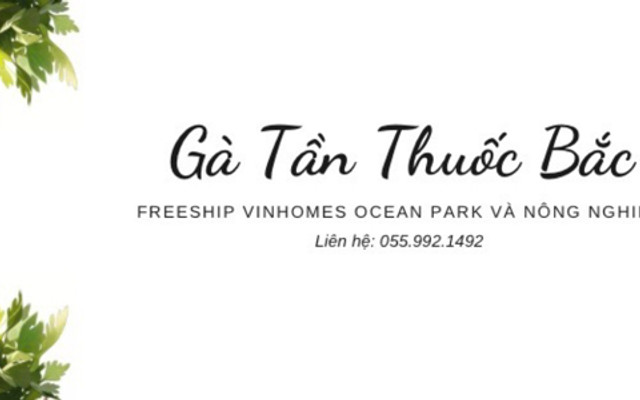 Gà Tần & Mỳ Gà Tần T.A - Trâu Quỳ