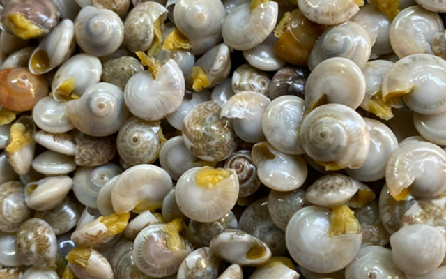 Ốc Ruốc - Ăn Vặt Hóc Môn