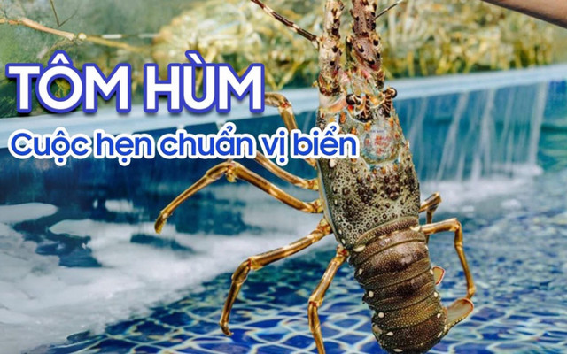 Hải Sản Làng Bè - 291 Nguyễn Văn Linh