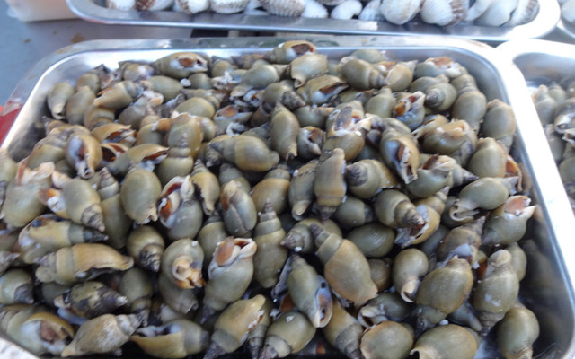 Ốc Quyên - Cổng Bến Xe Bắc