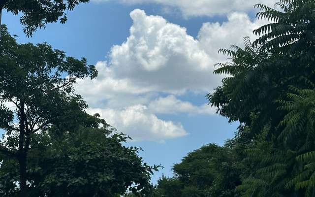 Cynt Review - Đồ Xink - Bắc Lai Xá