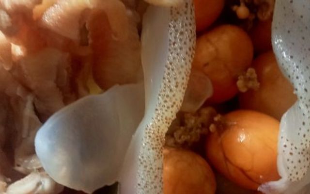 Chân Gà Gia Bảo - Đường Số 1