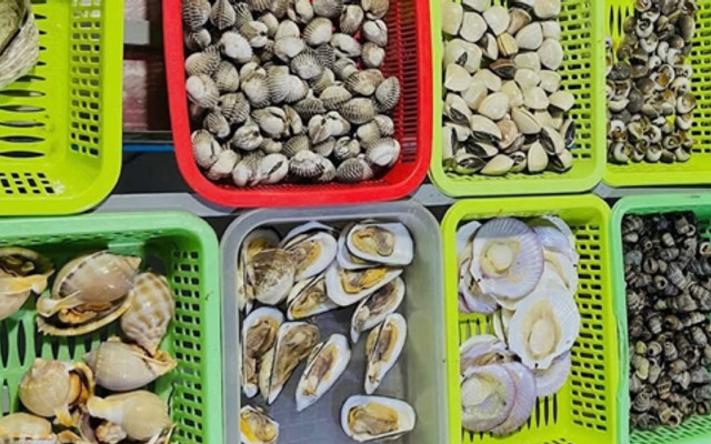 Ốc 86 Làng Đại Học