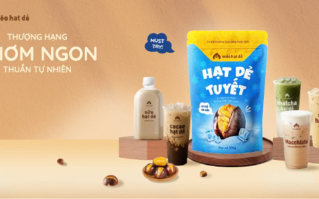 Mèo Hạt Dẻ - 239 Nguyễn Thượng Hiền