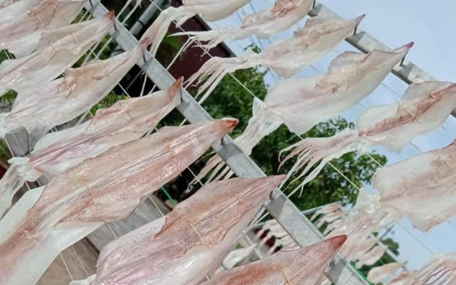 Hải Sản Miền Trung - Mực Khô, Mực 1 Nắng & Mực Tươi Cấp Đông - Lý Thánh Tông