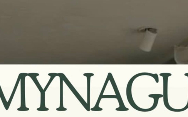 MYNAGU - Matcha & Tea