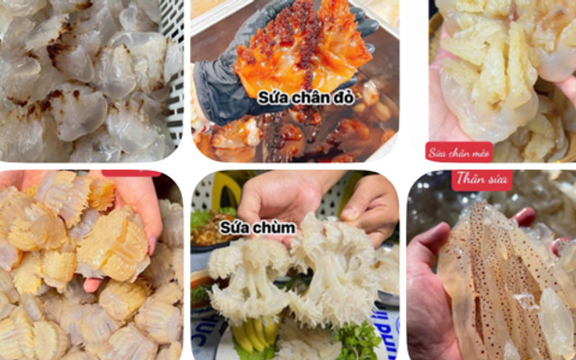 Chân Gà Sốt Thái - Em Út