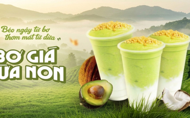 Bơ Già Dừa Non - Hồ Tùng Mậu 2