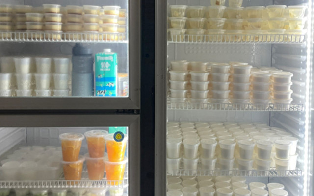 Sữa Chua - Ngô Mây