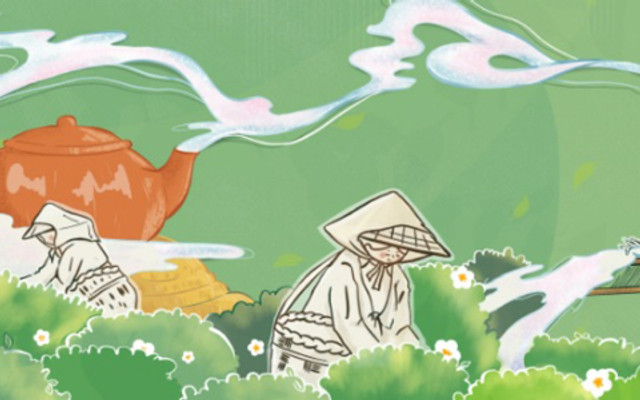 Maiden Cha Hải Phòng - Dệt Mây Làm Trà