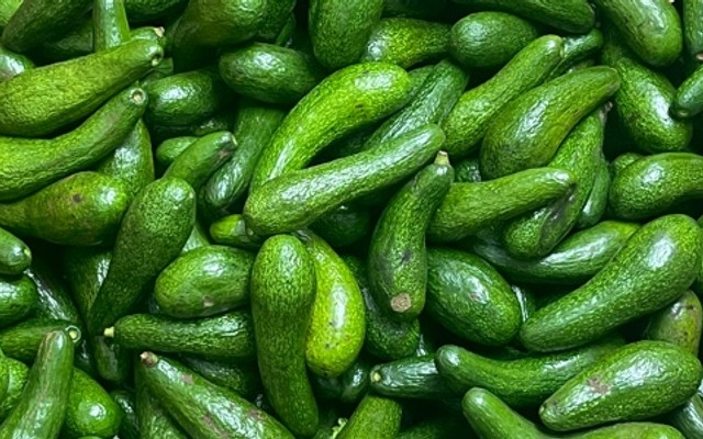 Bơ Già Dừa Non - Hải Vỉa - Trương Định