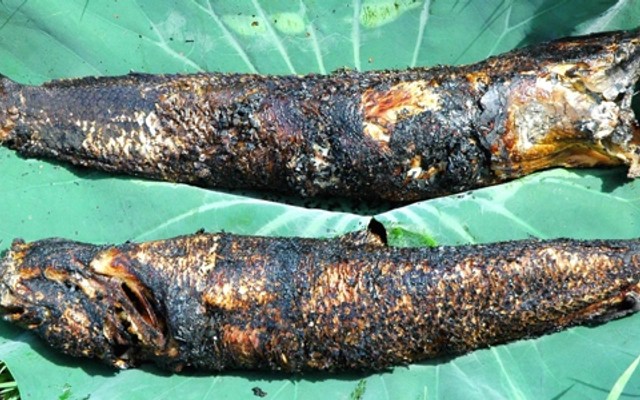 Mê Kông Quán - Cá Lóc Đồng Chiên Xù Cuốn Bánh Tráng