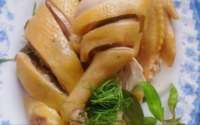 Gà Ta Hướng Dương - Cơm, Cháo & Gỏi Gà