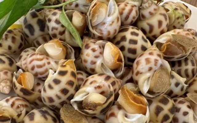 Quán Ốc Chung Cư - Trường Sa