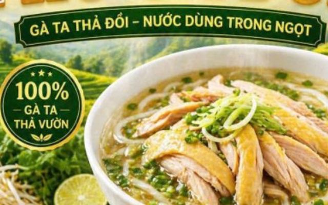 Thanh Bình - Phở Gà Đồi, Gà Sạch & Gà Ta - 129 Trường Chinh Vinh Nghệ An