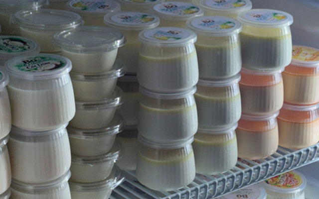 BO SỮA CHUA & PANNACOTTA