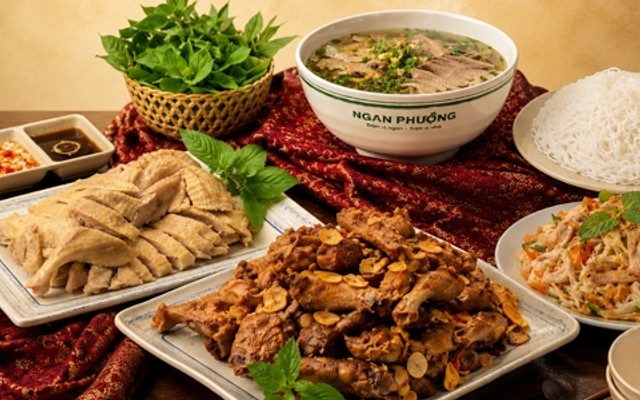 NGAN PHƯỢNG - 132 VŨ PHẠM HÀM