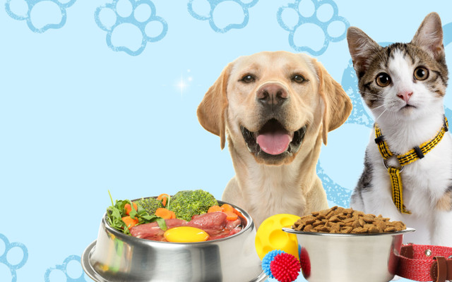 Pet Lovers Q11 - Đồ Ăn Thú Cưng - 167 Lê Đại Hành