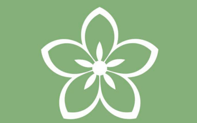 Bông Trà - Phú Lợi