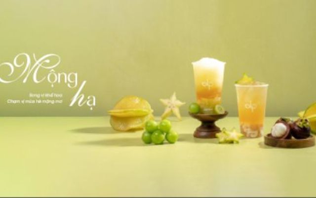 Lam Trà - Điện Biên Phủ