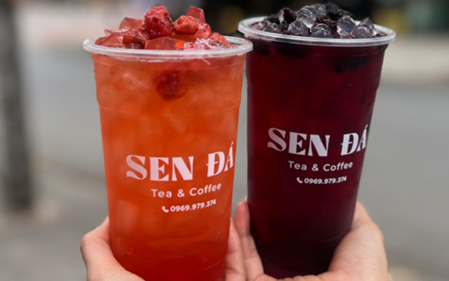 Sen Đá Tea