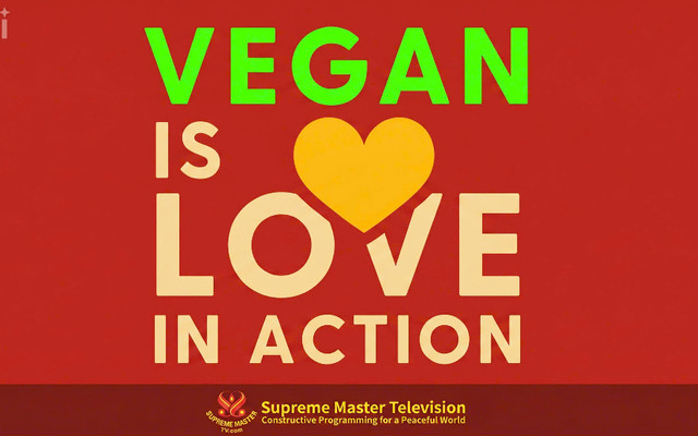 LOVING HUT HAPPY VEGAN - Đồ Chay - Nguyễn Lam