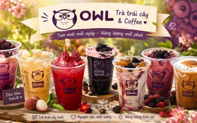 Owl Cafe - Food & Drink