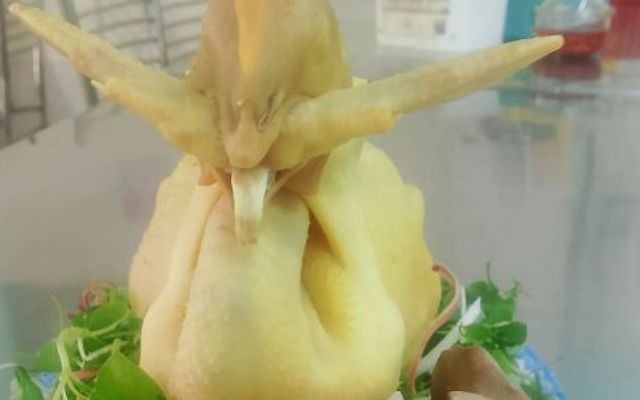 Gà Ta Hướng Dương - Cơm, Cháo & Gỏi Gà