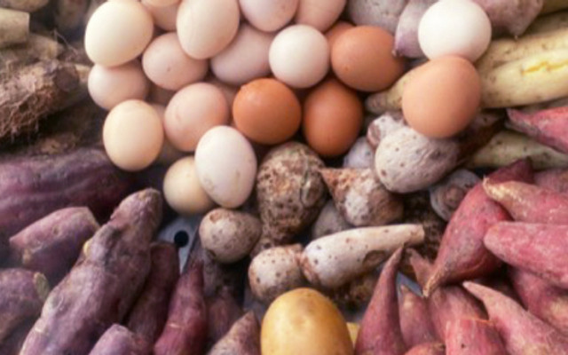 Khoai Bắp Min Min - Lương Định Của