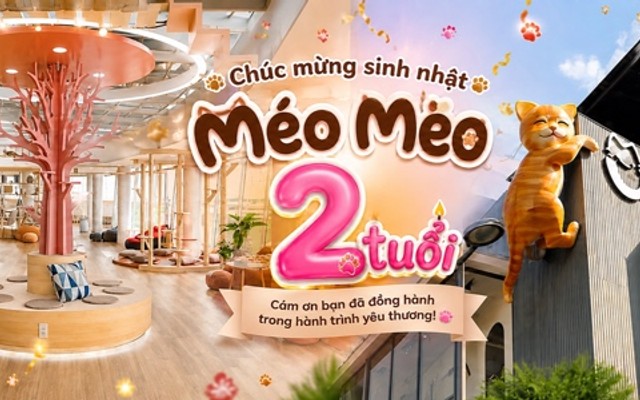 Méo Meo Cat Cafe