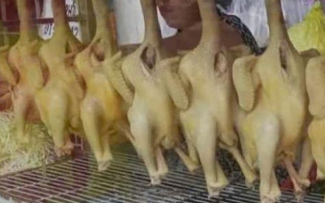 Gà Ta Sơn Ca - Hương Lộ 80 Vĩnh Lộc TP HCM