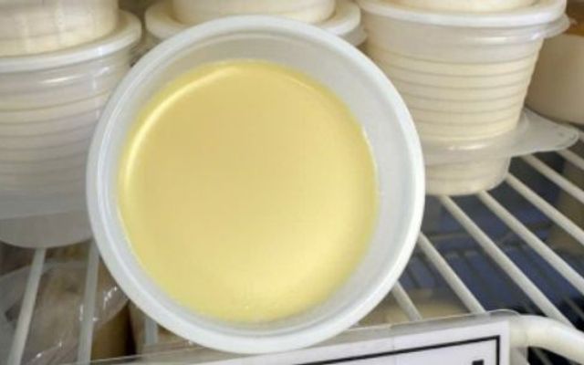 Yaourt Phô Mai Đà Lạt - Phạm Đăng Giảng