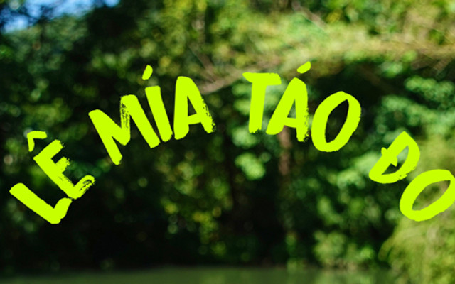 Lê Thị Mèo - Hội An