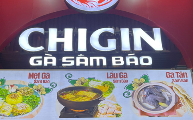 Chigin - Gà Sâm Báo