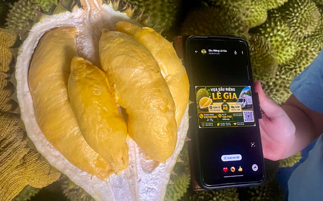 Lê Gia Fruit - Trái Cây - 79 Quốc Lộ 1A