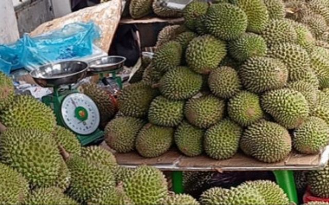 Sầu Riêng Sạch Bốn Mùa